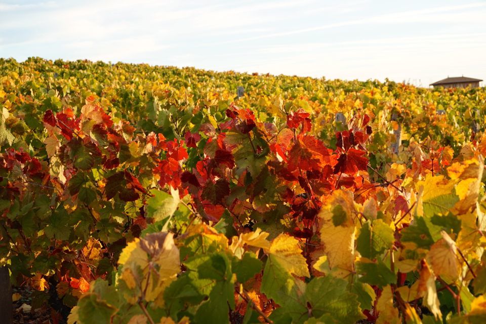 Weekend dans le Beaujolais