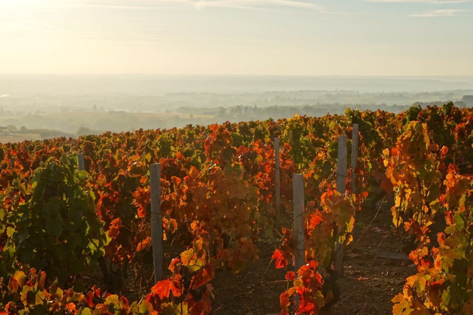 Weekend dans le Beaujolais