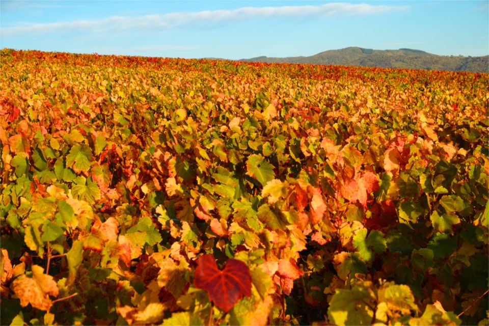 Weekend dans le Beaujolais