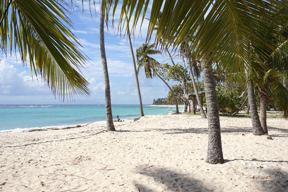 guadeloupe apres ouragan maria