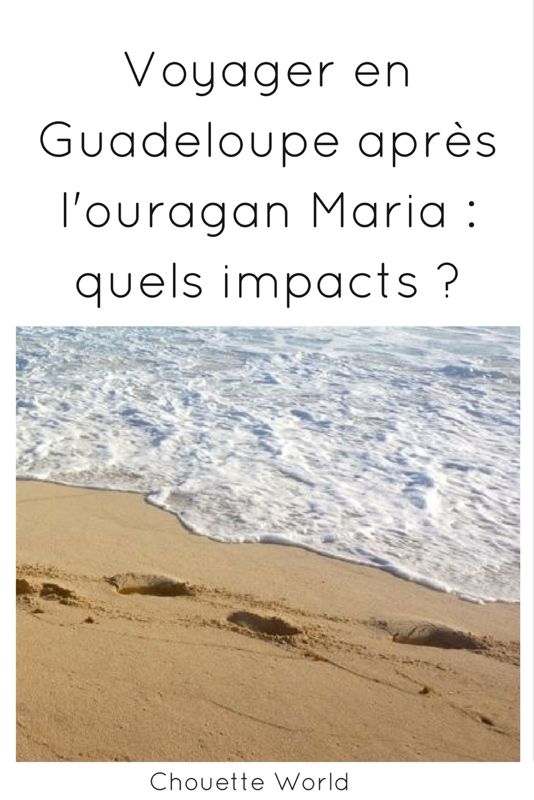 Quels impacts après l'ouragan ?