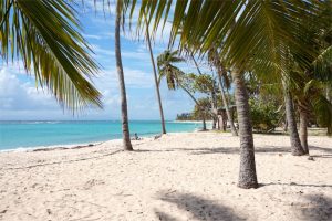 Visiter Marie Galante