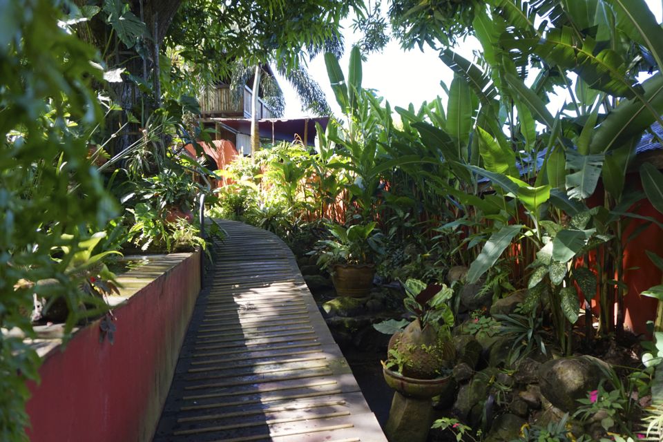 44 choses à faire en Guadeloupe