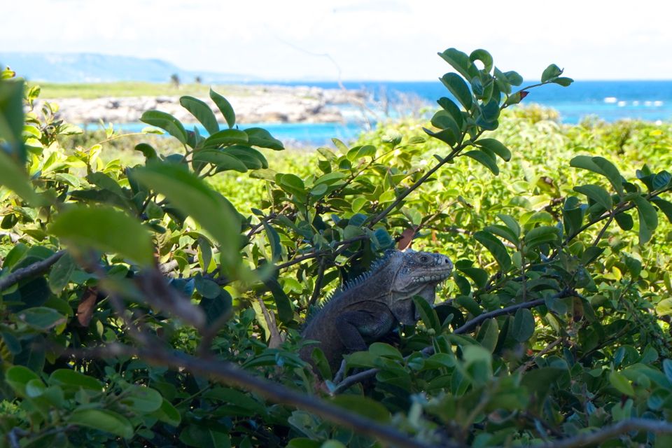 Petite Terre Guadeloupe