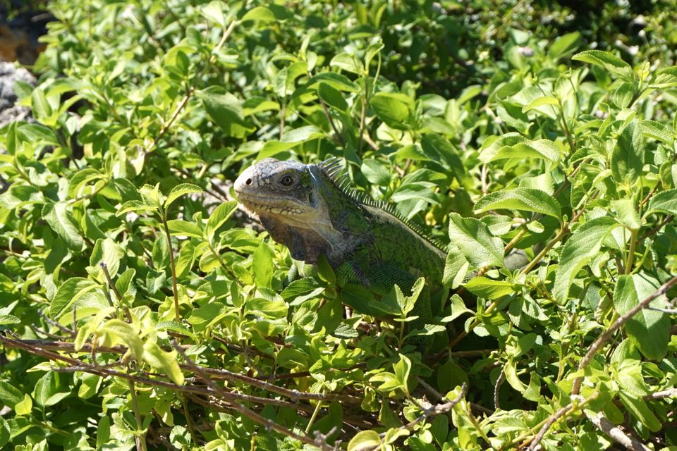Petite Terre Guadeloupe