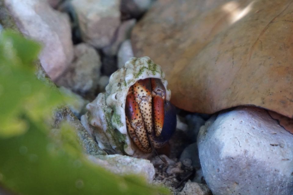 Petite Terre Guadeloupe