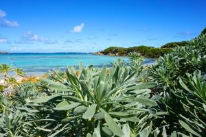 Petite Terre Guadeloupe