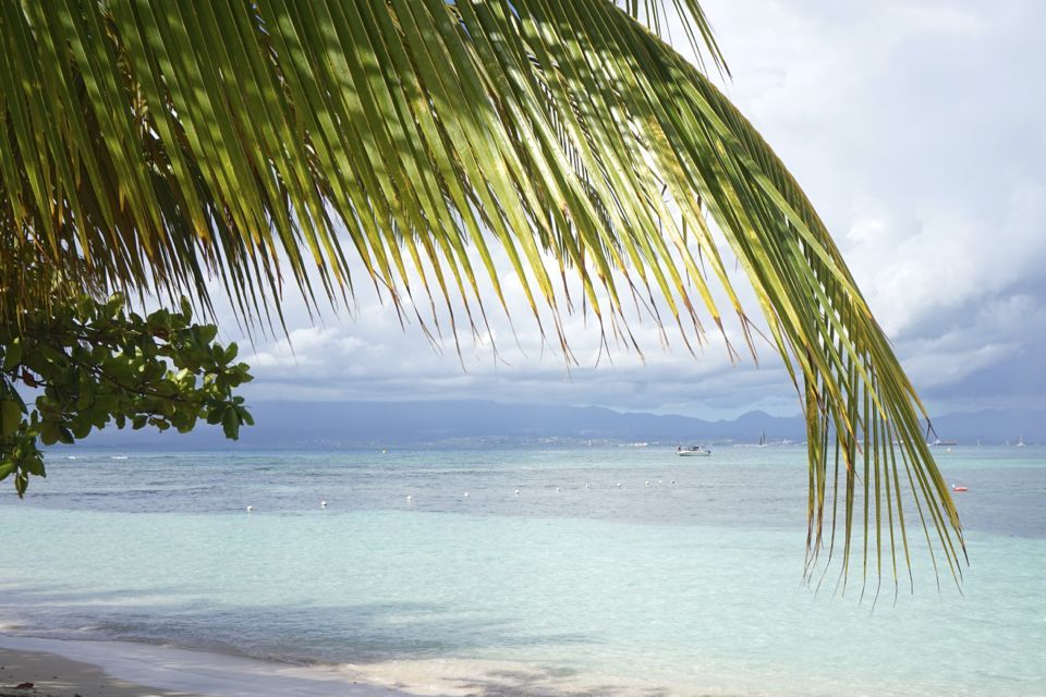 Ilet Gosier Guadeloupe