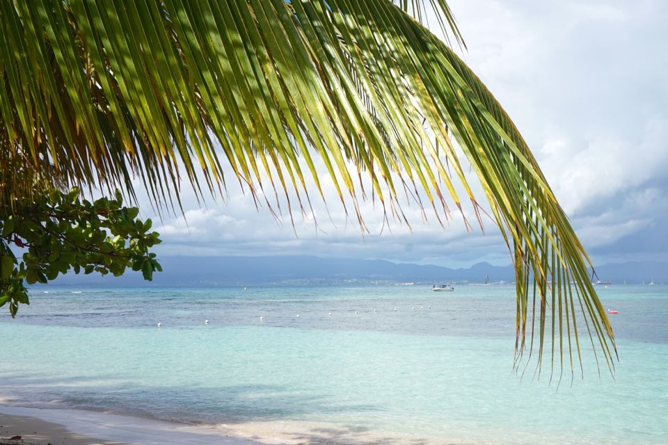 2 semaines en Guadeloupe