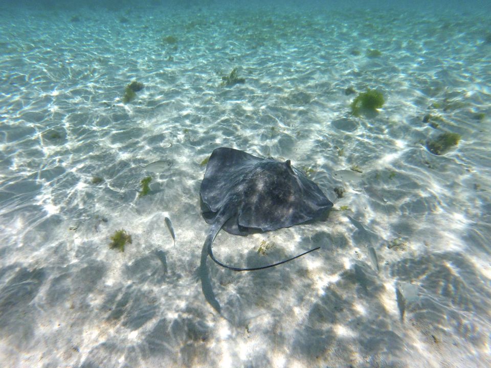 Petite Terre Guadeloupe