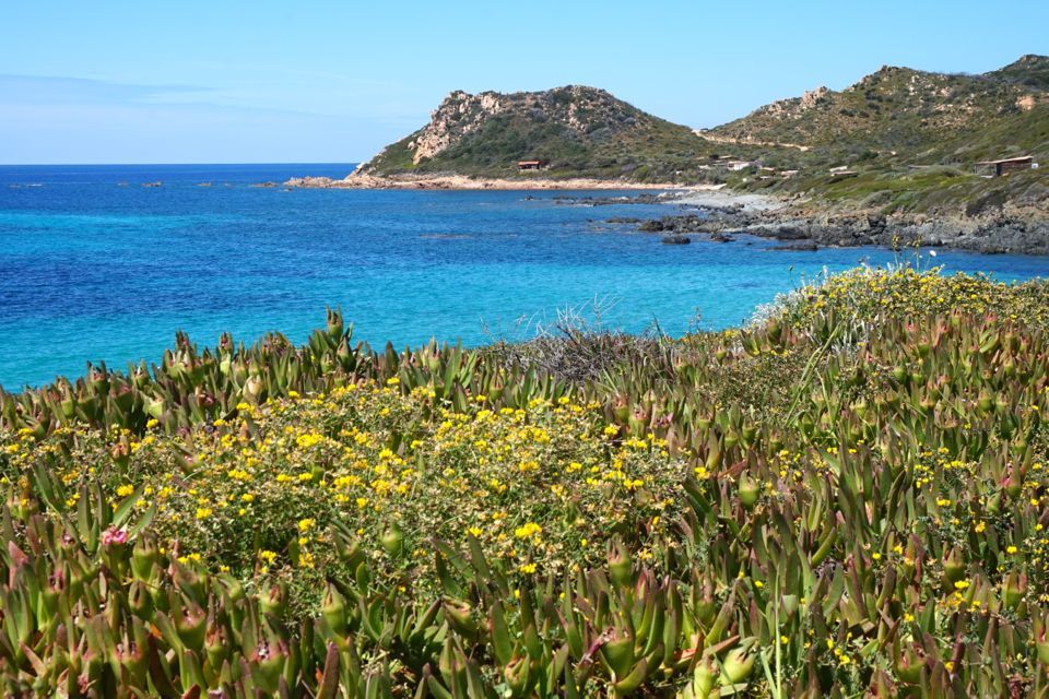 5 randonnées autour d'Ajaccio : parata