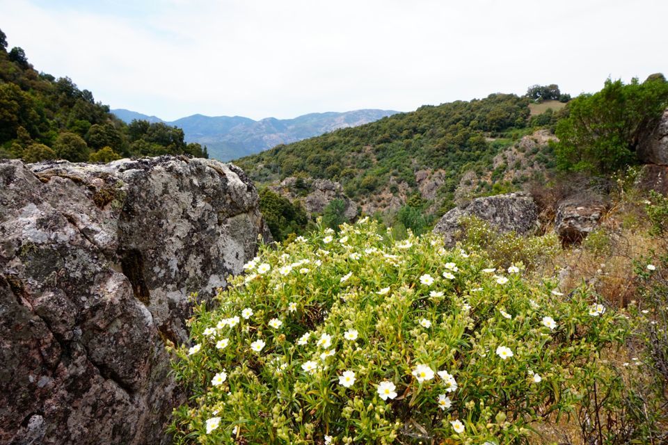 5 randonnées autour d'Ajaccio : Sentier du Patrimoine