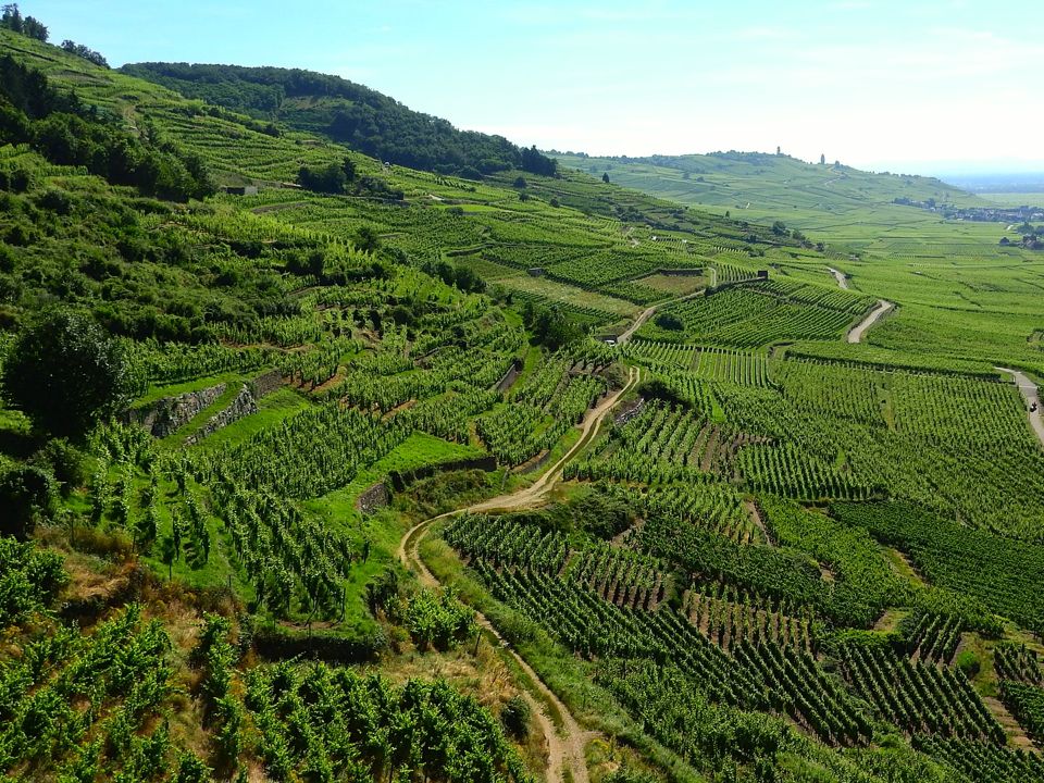 Autour de Strabourg : 7 idées de visites