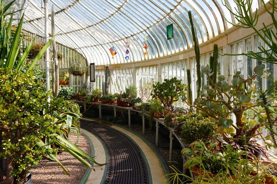 3 jours à Belfast : jardin botanique