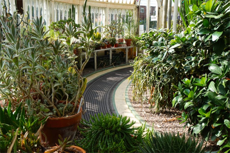 3 jours à Belfast : jardin botanique