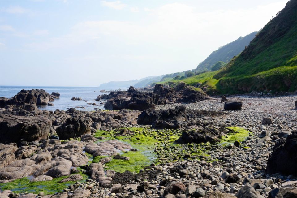 Autour de belfast : The Gobbins