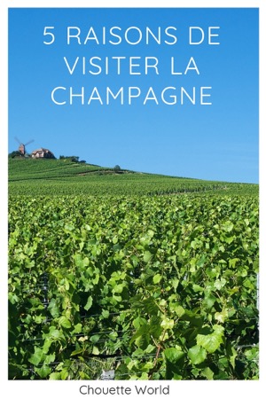 Que faire en Champagne ?