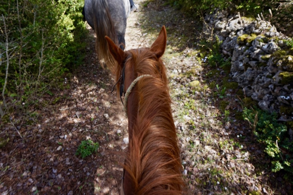 que faire dans le Larzac
