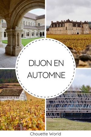 Dijon en Automne