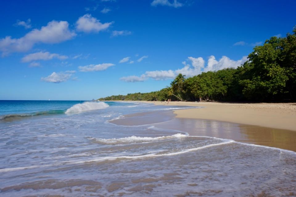 Visiter la Martinique : que faire ?