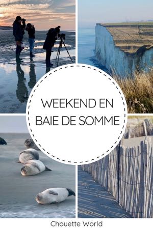 Un weekend en Baie de Somme : que faire ?