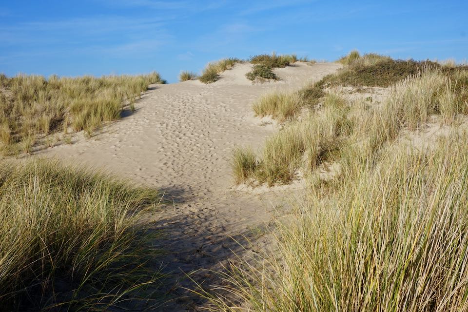 weekend en Baie de Somme : que faire ?