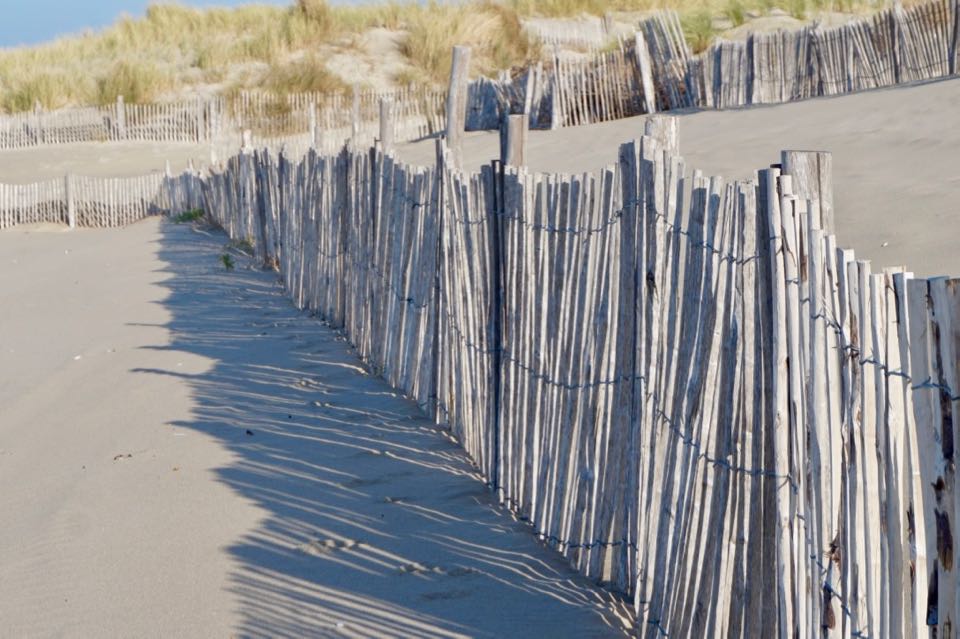 weekend en Baie de Somme : que faire ?