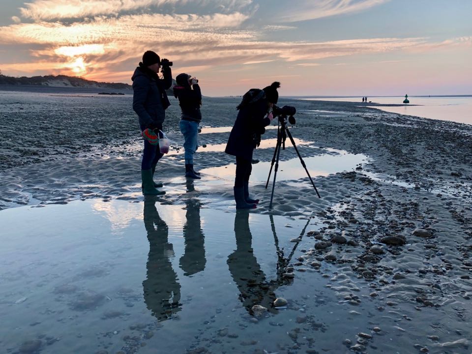 weekend en Baie de Somme : que faire ?