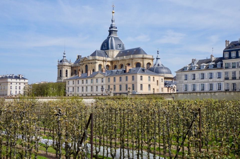 Que faire à Versailles : potager du roi