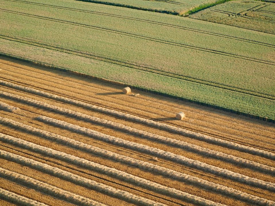 Vol en montgolfière Beaune