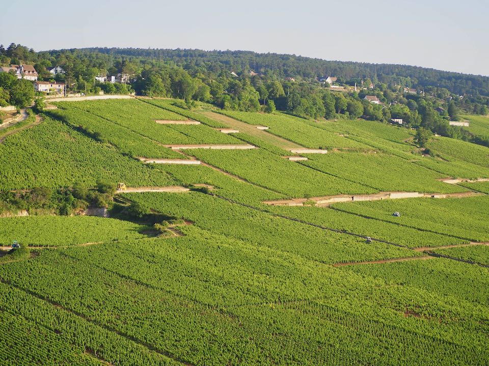 Vol en montgolfière Beaune