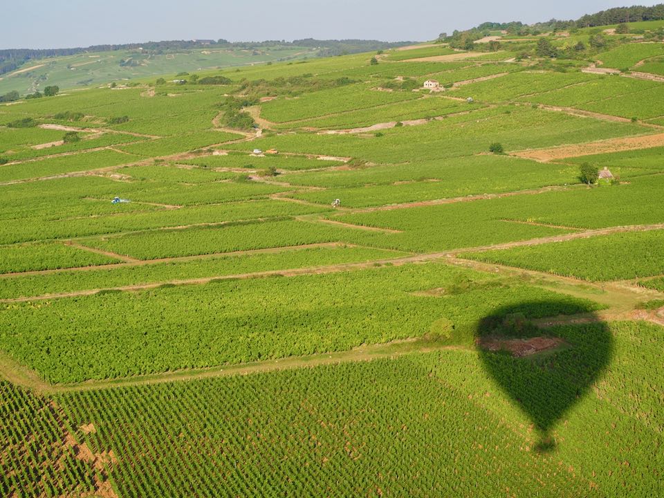 Vol en montgolfière Beaune