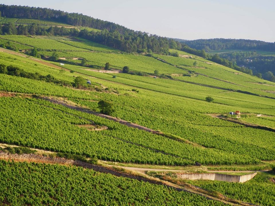 Vol en montgolfière Beaune