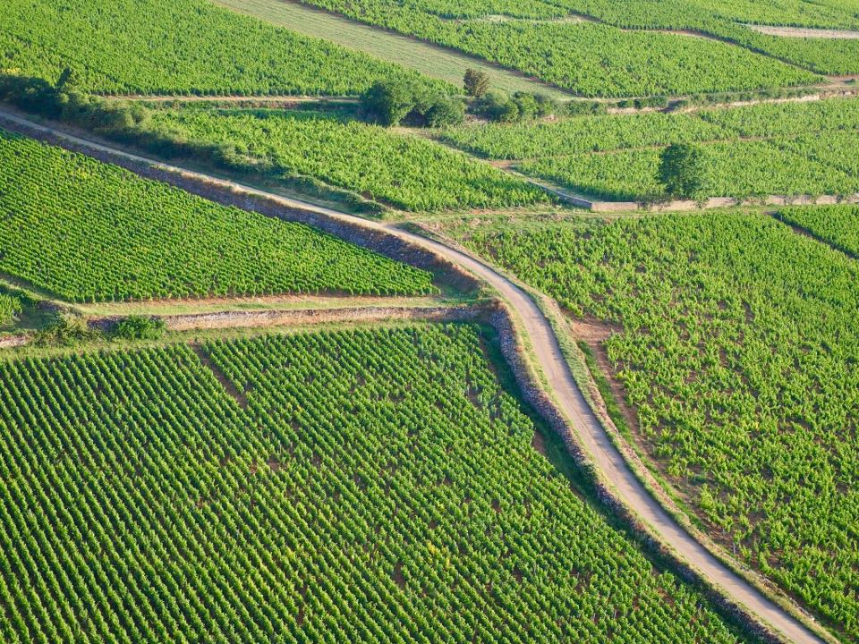 Vol en montgolfière Beaune