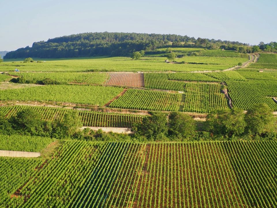 Vol en montgolfière Beaune