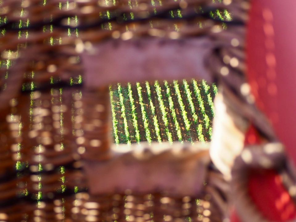 Vol en montgolfière Beaune