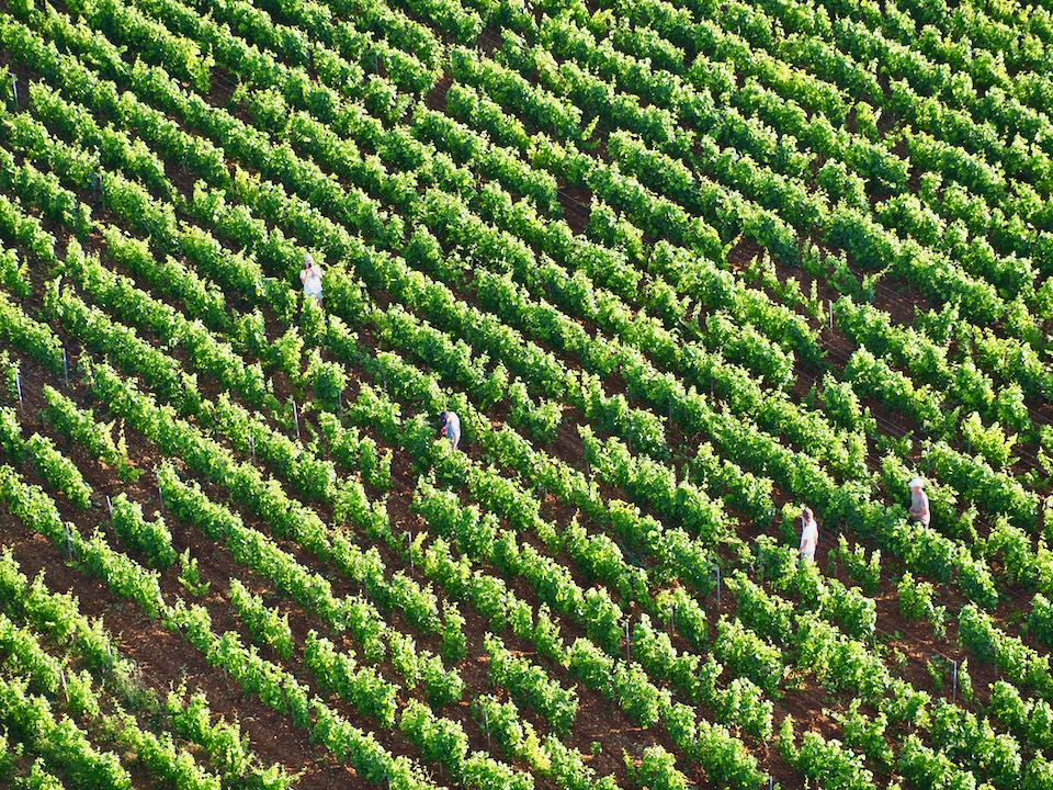 Vol en montgolfière Beaune