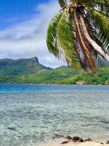 paysage bora