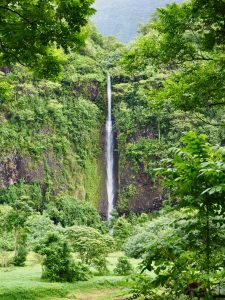 Vallee de Papenoo Tahiti