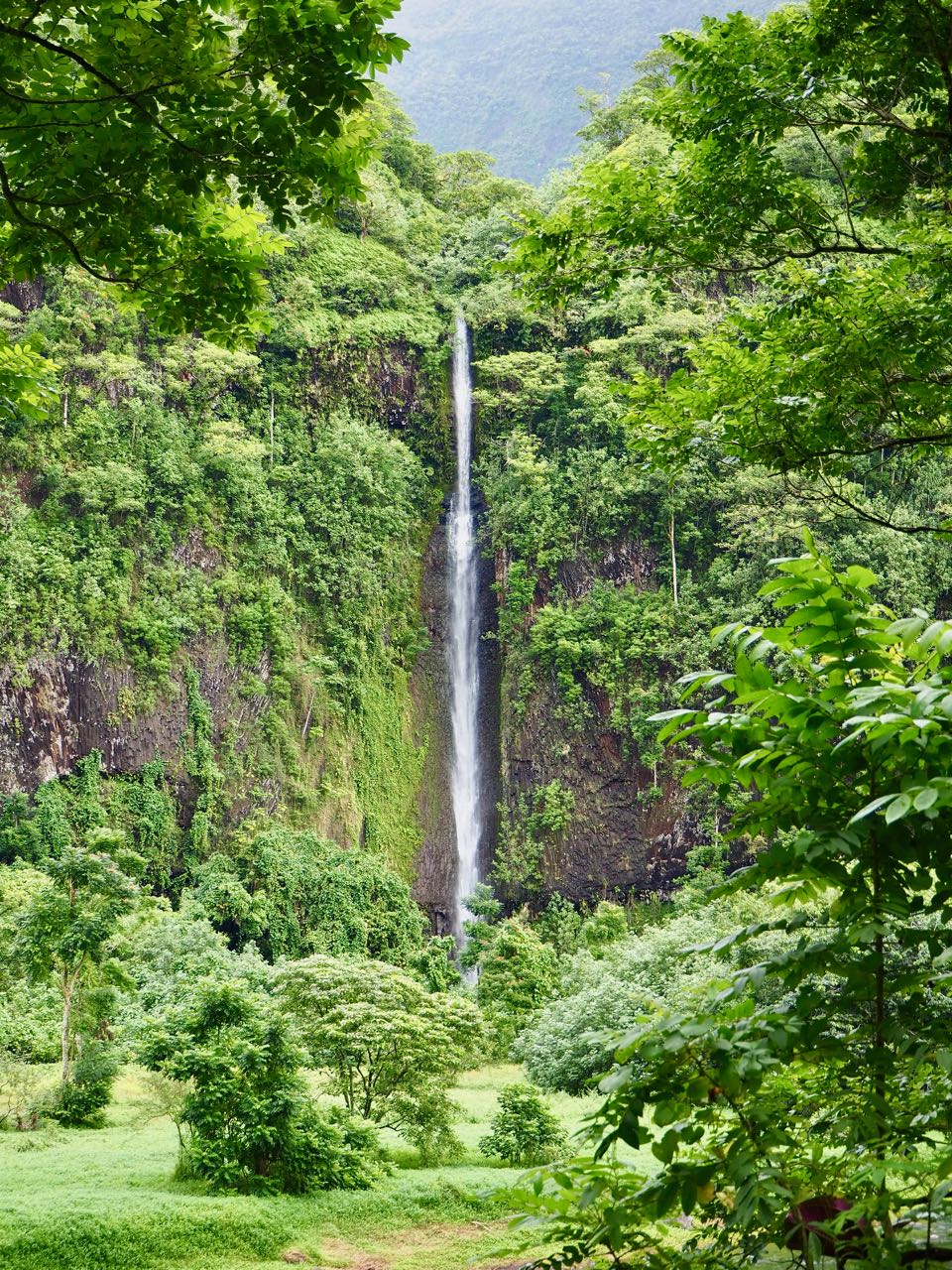 Vallee de Papenoo Tahiti