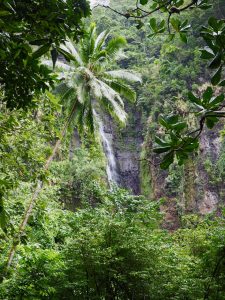Visiter Tahiti : cascades