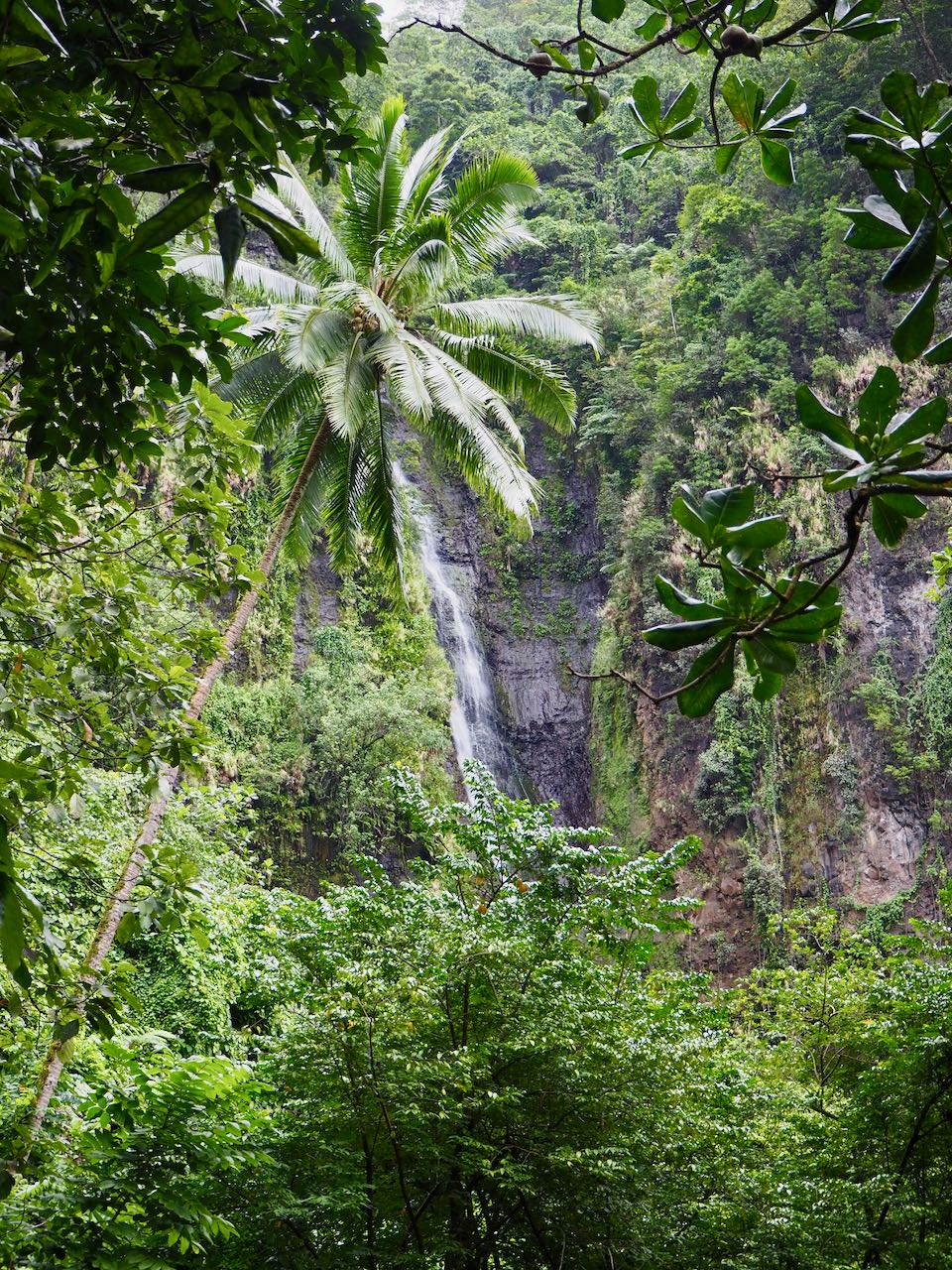 Visiter Tahiti : cascades