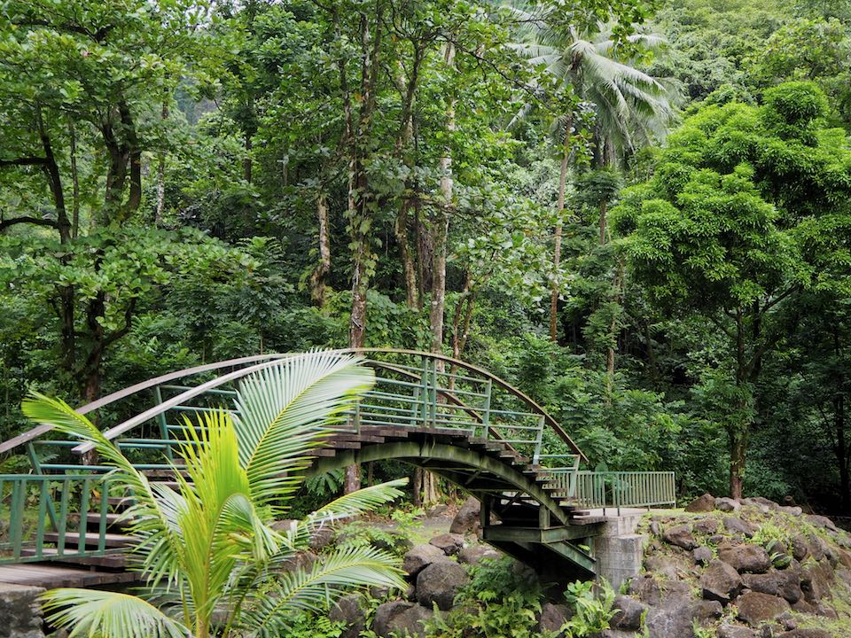 Visiter Tahiti : cascades