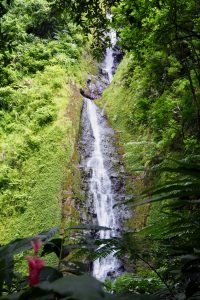 Visiter Tahiti : cascades