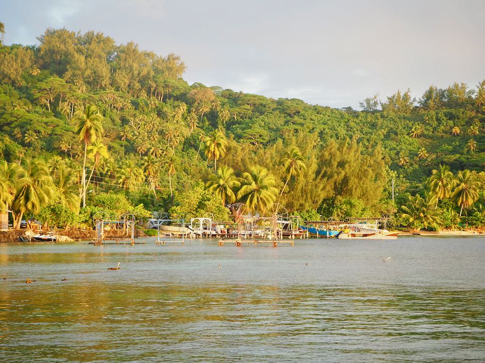 yacht club bora