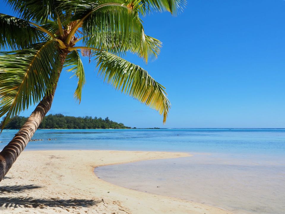 plage tipaniers