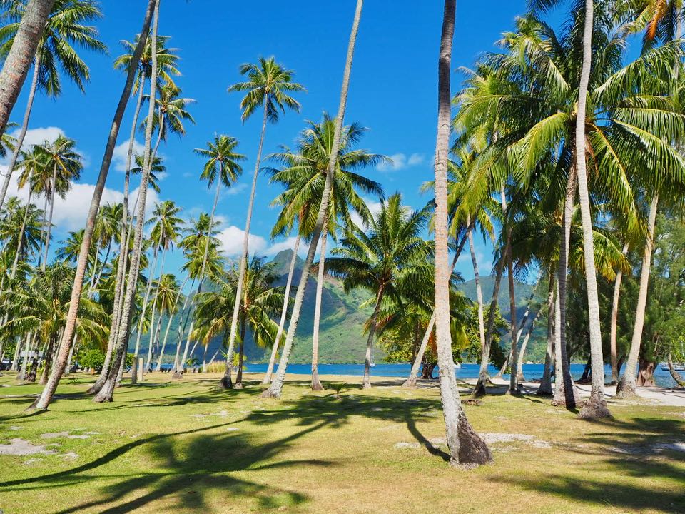 que faire a Moorea