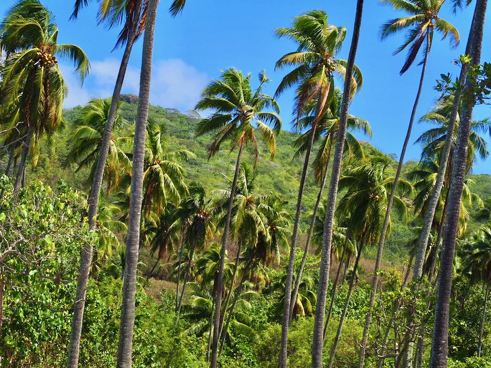 plage temae moorea