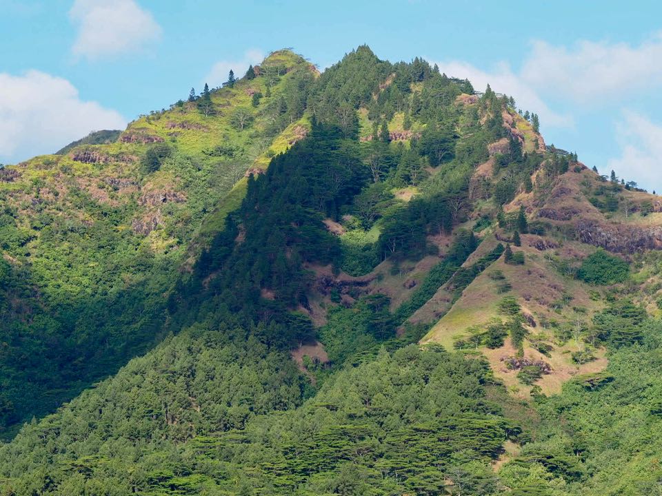 visiter Moorea