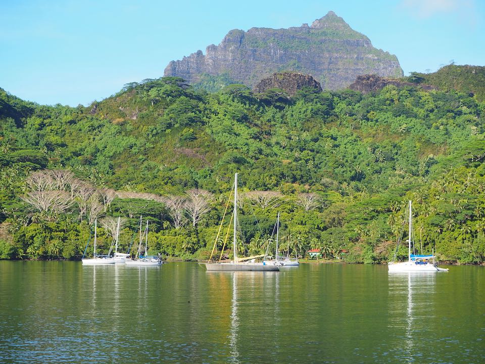 Que faire a Moorea ?
